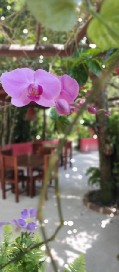 Vila Araticum Praia Santo André Buitenkant foto