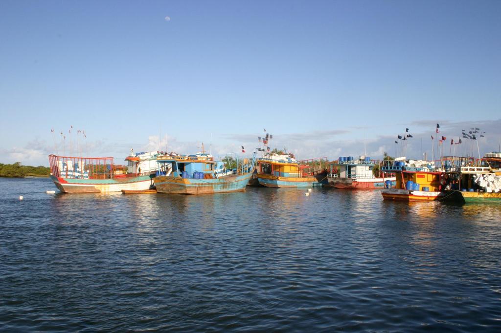 Vila Araticum Praia Santo André Buitenkant foto